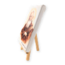 LIENZO 10X15 CABALLETE CON IMAGEN_2